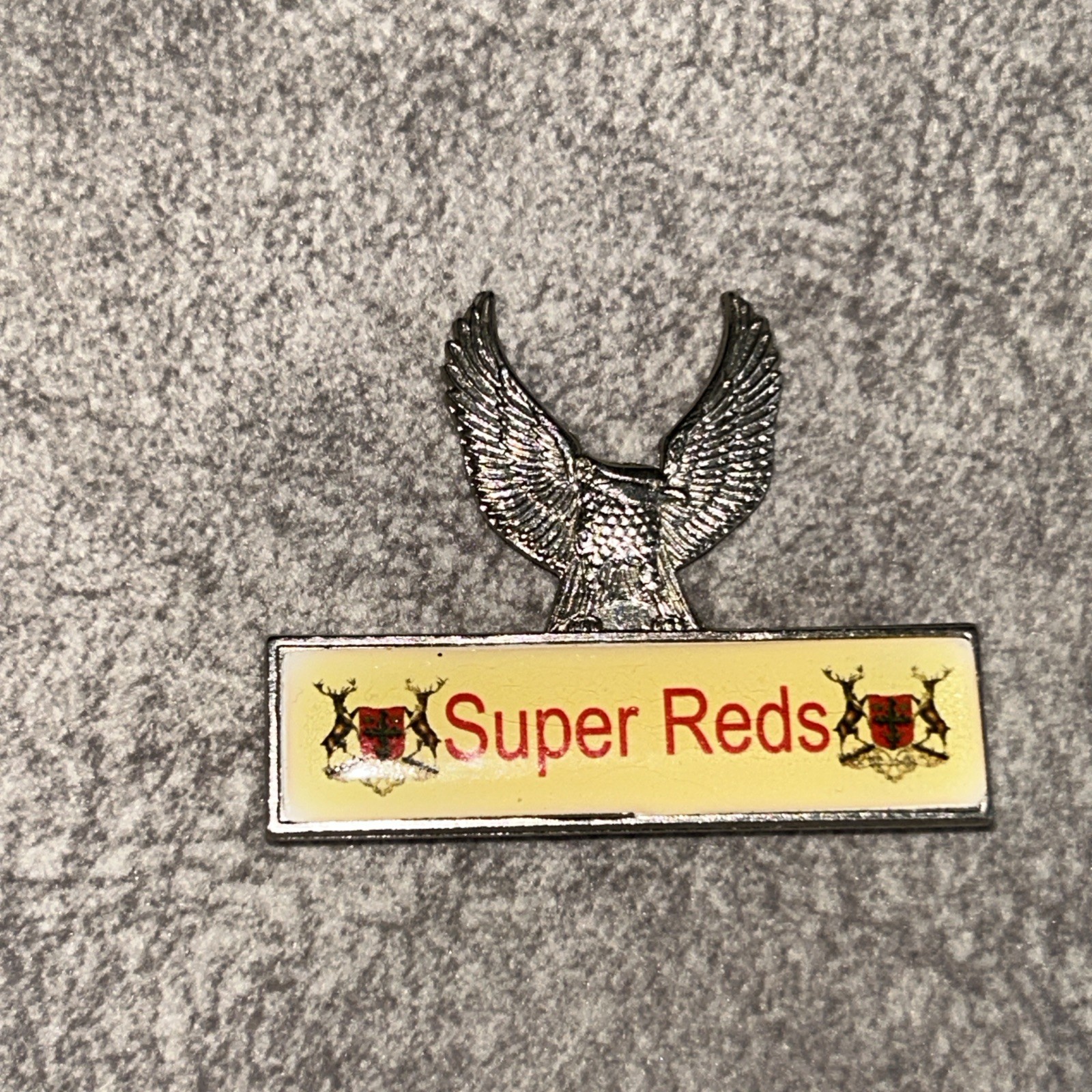 Nottingham Forest Football Pin Badge Original Vintage for sale on Ebay