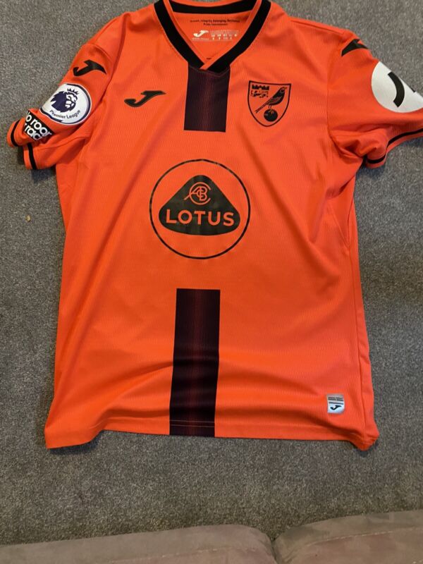norwich city football shirt for sale on Ebay