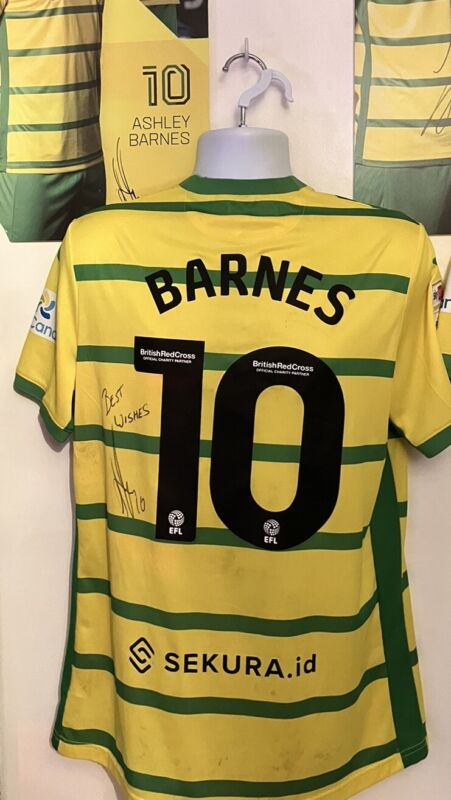 Norwich City Match Worn Ashley Barnes V Ipswich Shirt for sale on Ebay