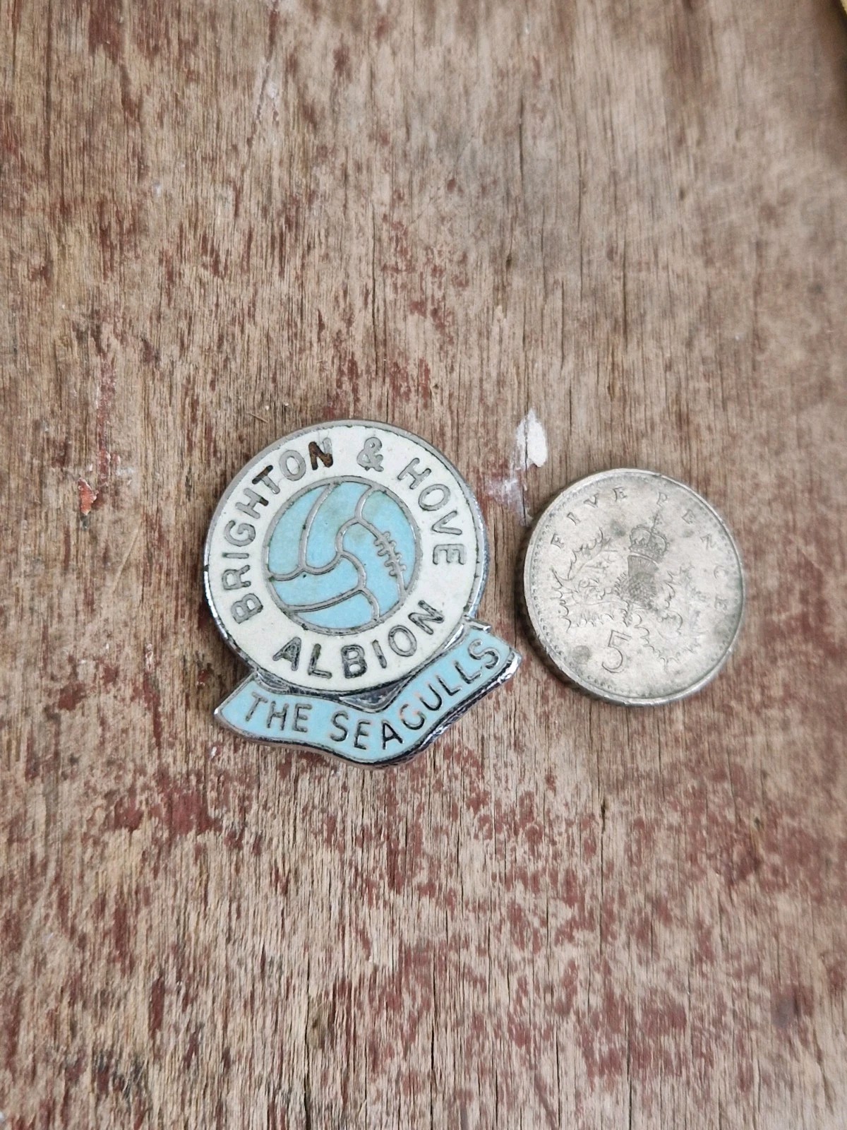 BRIGHTON & HOVE ALBION  F C - SEAGULLS GOMM VINTAGE COLLECTABLE  FOOTBALL  BADGE for sale on Ebay