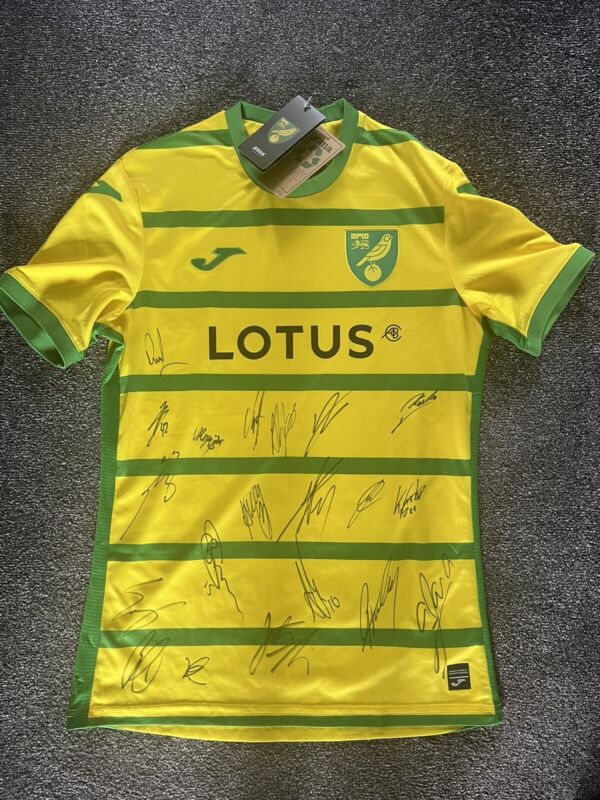 squad signed norwich city shirt 23/24 season  for sale on Ebay