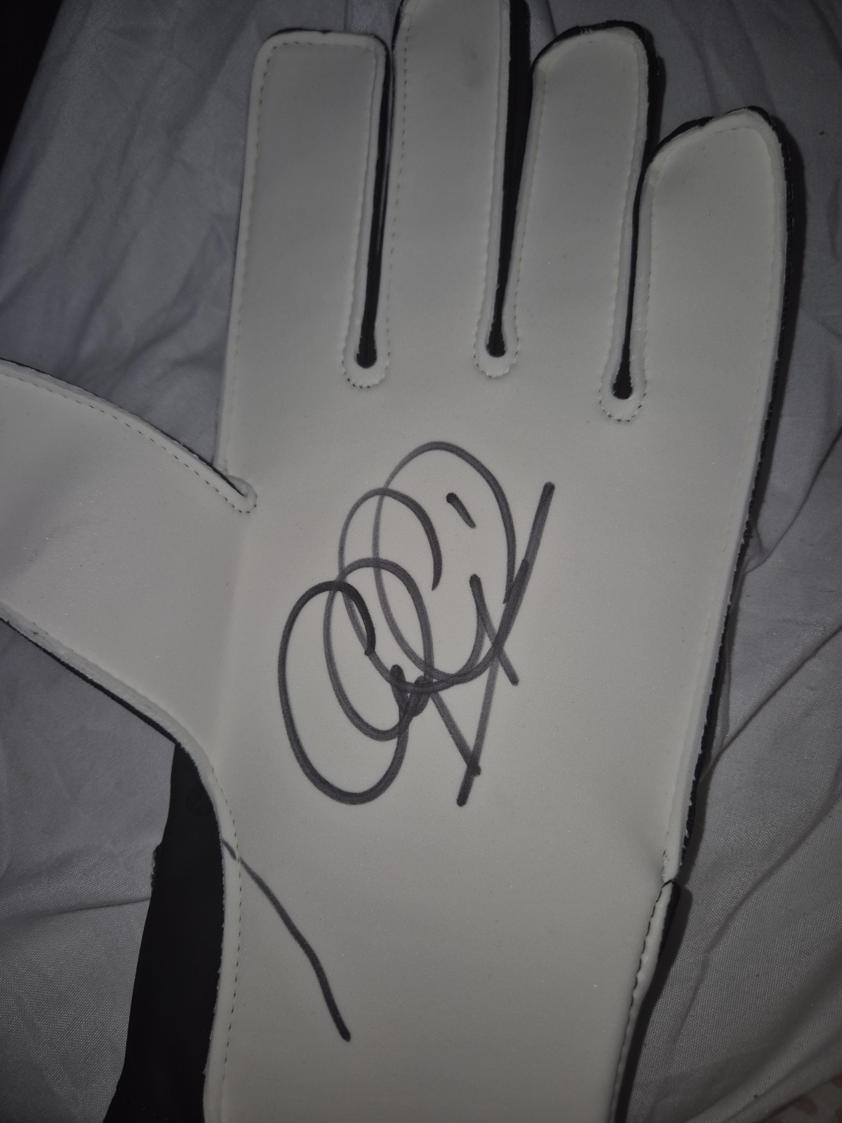 Craig Gordon Signed Goalkeeper Glove Celtic Hearts Scotland for sale on Ebay