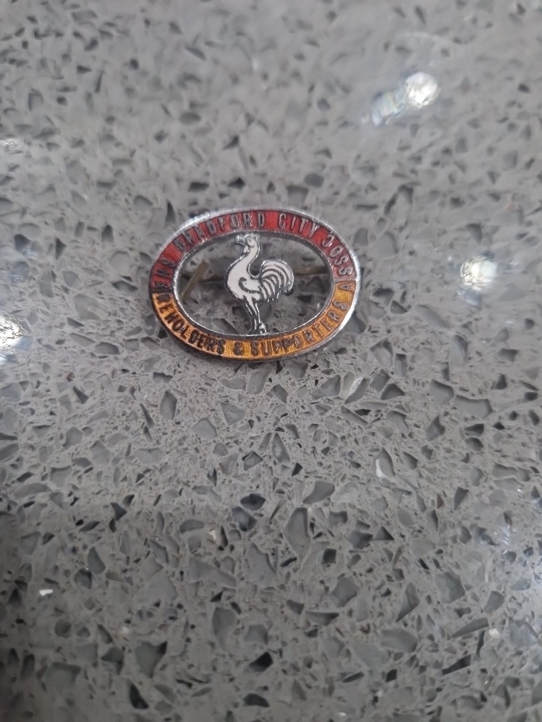 Bradford City Shareholders And Supporters Association Pin Badge for sale on Ebay