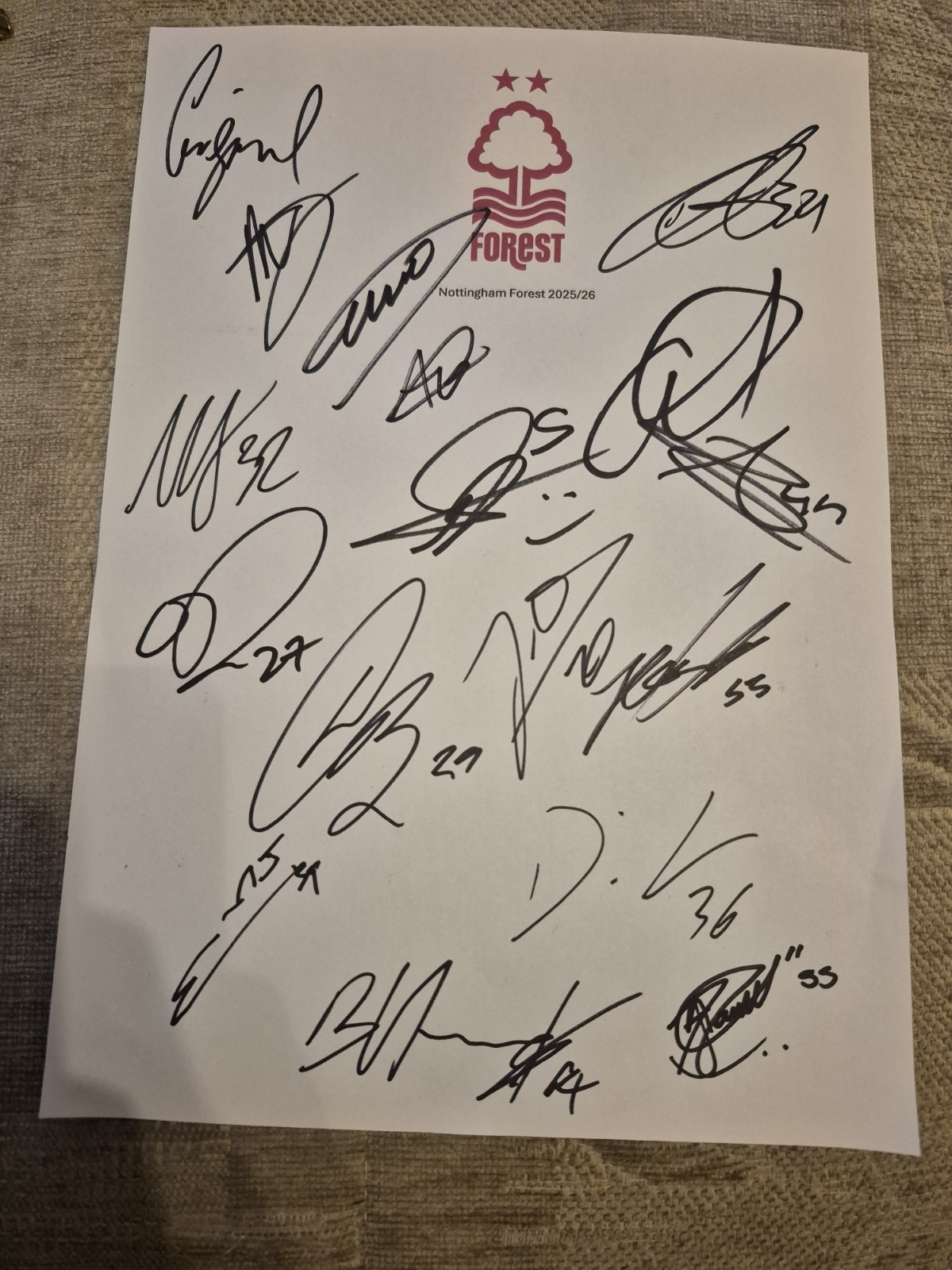 17 Signed On A Nottingham Forest Football Teamsheet 2025/26 for sale on Ebay