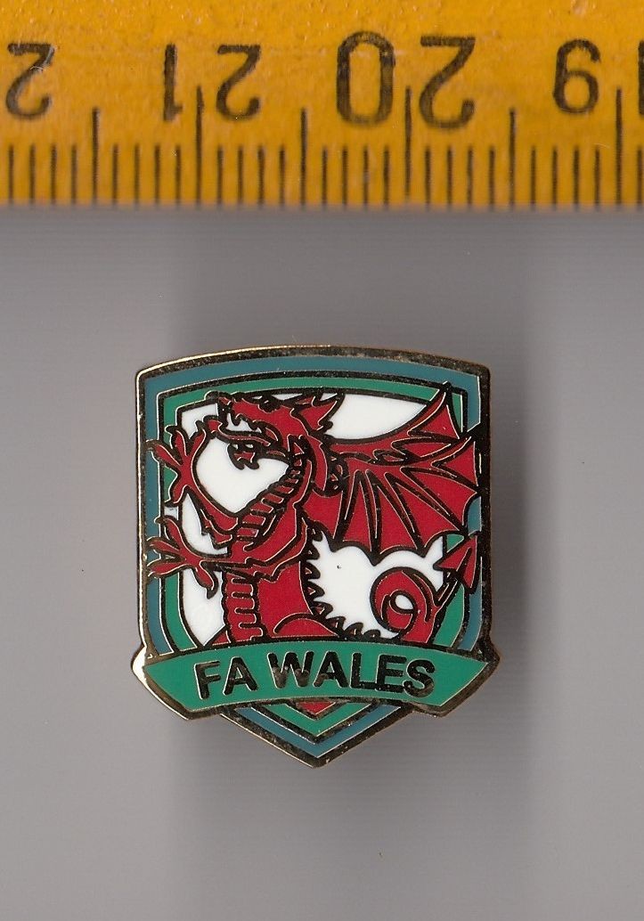Wales FA Football Federation Association pin badge for sale on Ebay