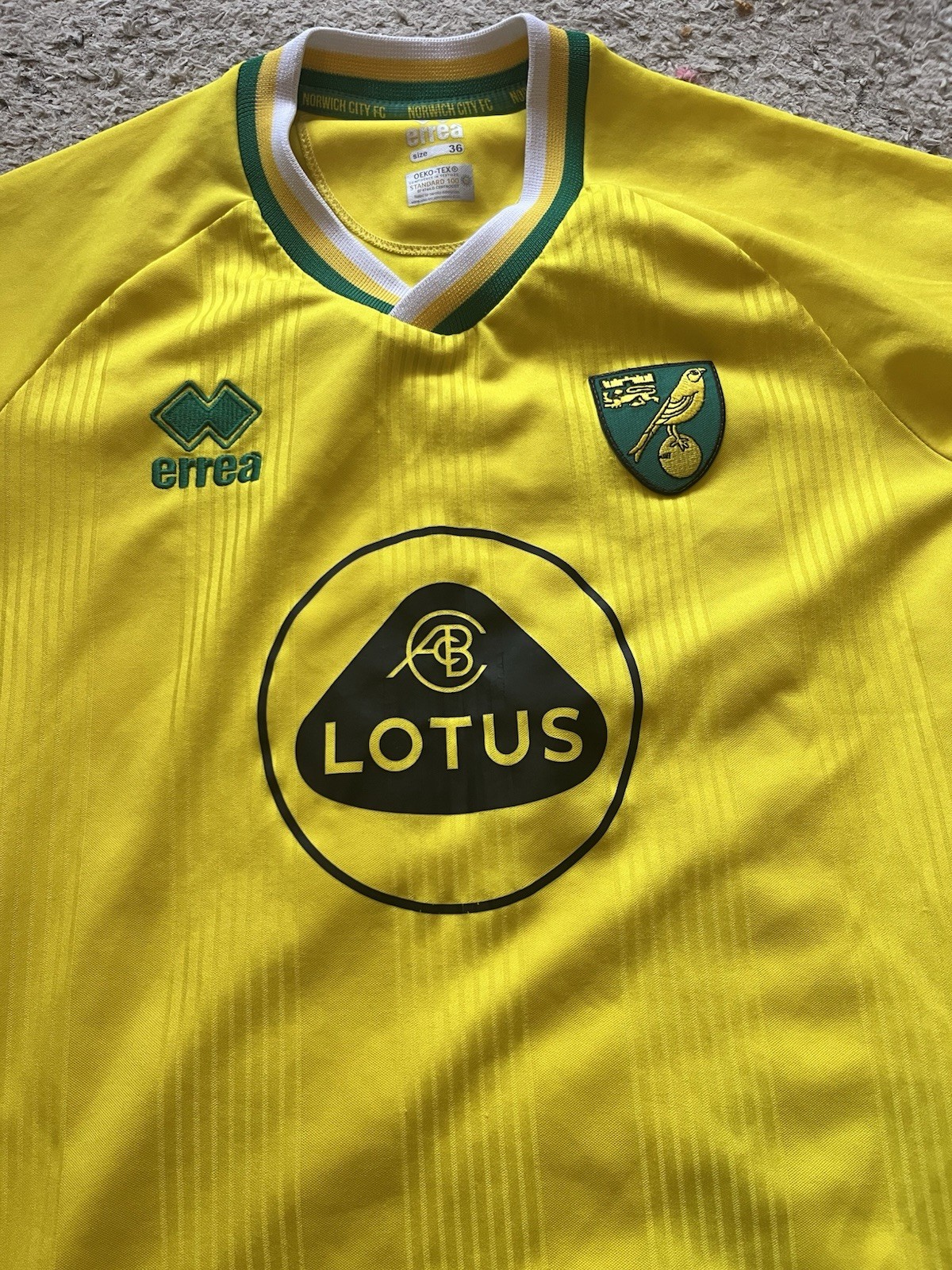 Norwich City Home Shirt, 2020/21. Size 36 for sale on Ebay
