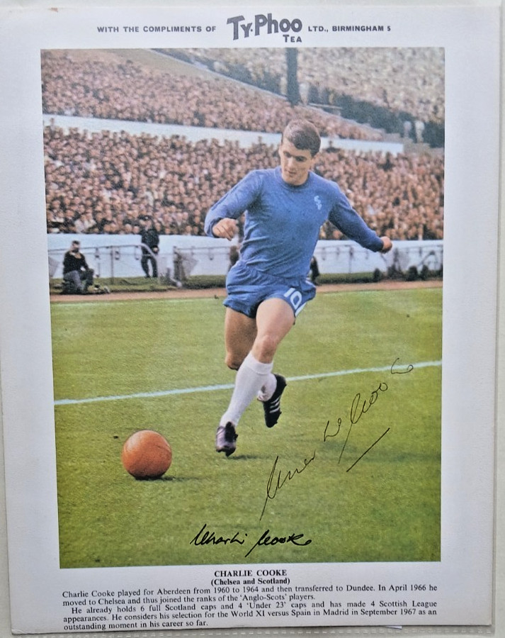 Signed Chelsea  10