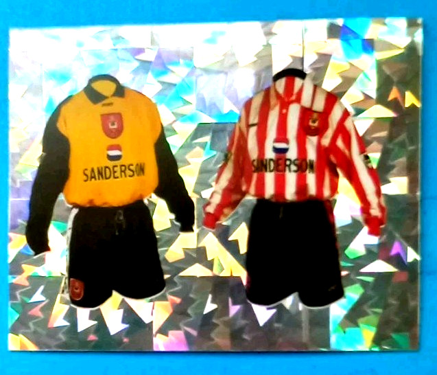  SOUTHAMPTON SHIRTS 1996-97 MERLIN PREMIER LEAGUE STICKER No 238 for sale on Ebay