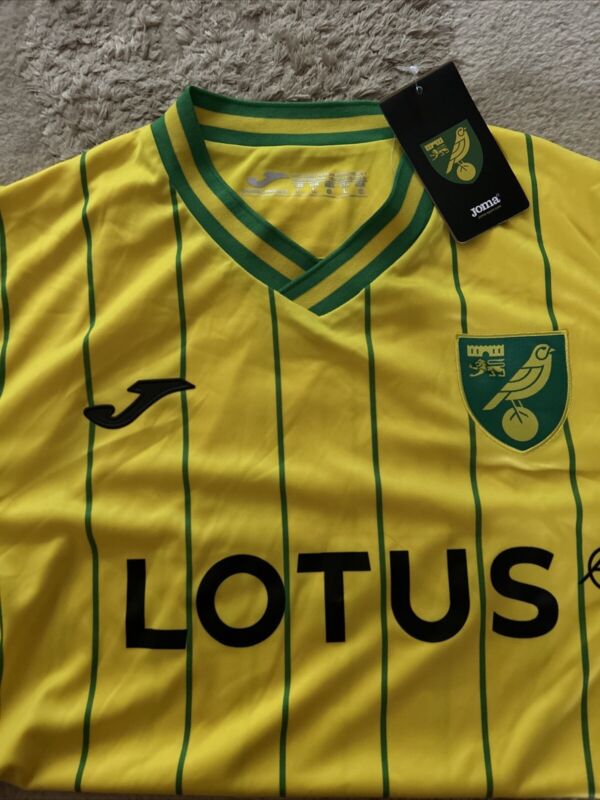 norwich city football shirt home for sale on Ebay