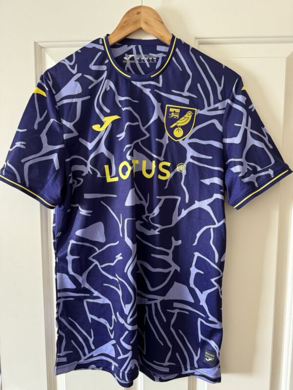 Norwich City 2023-24 Third Kit Large for sale on Ebay