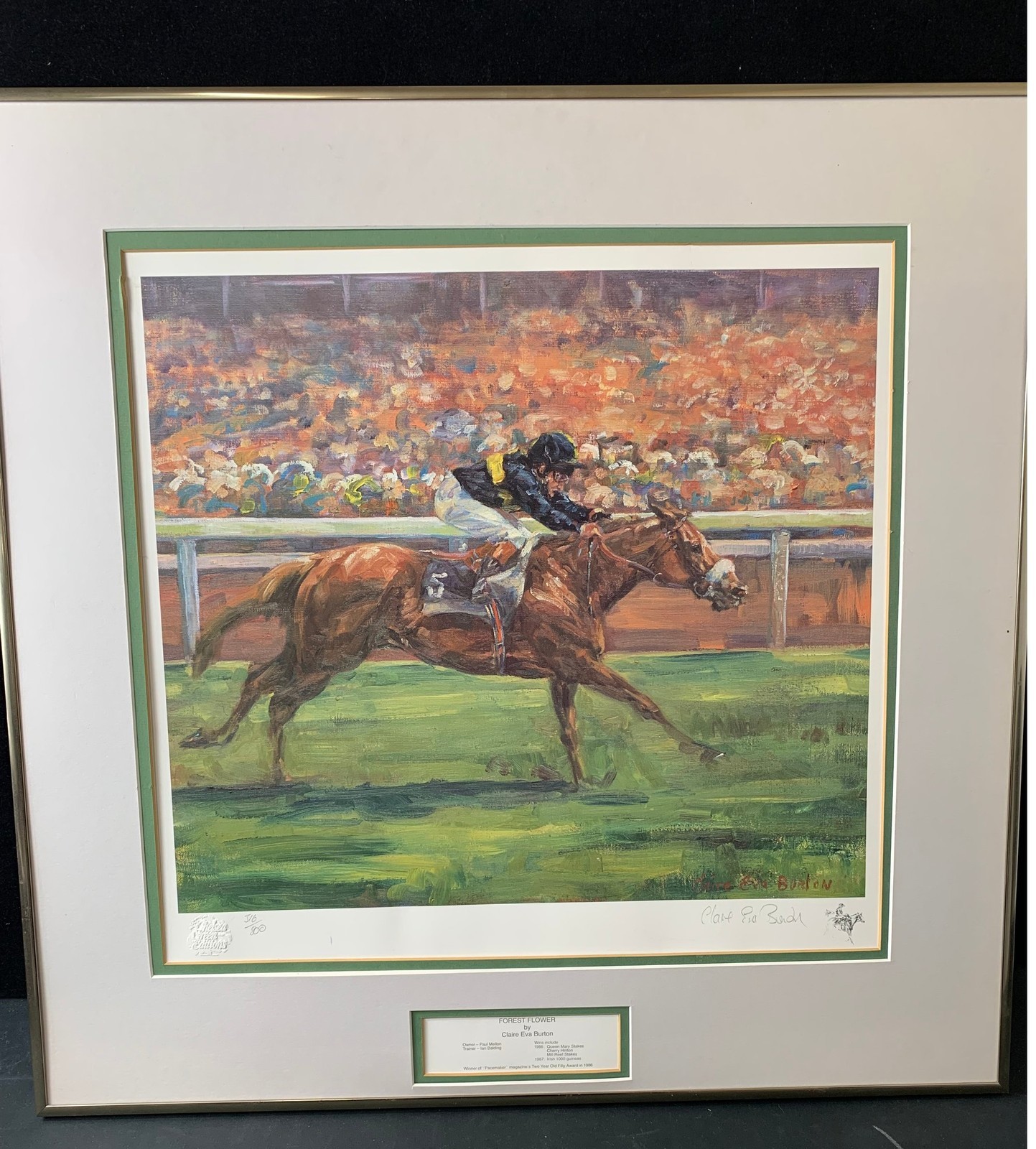 Clare Eva Burton Horse Racing Print Forest Flower Edition - #1008 for sale on Ebay