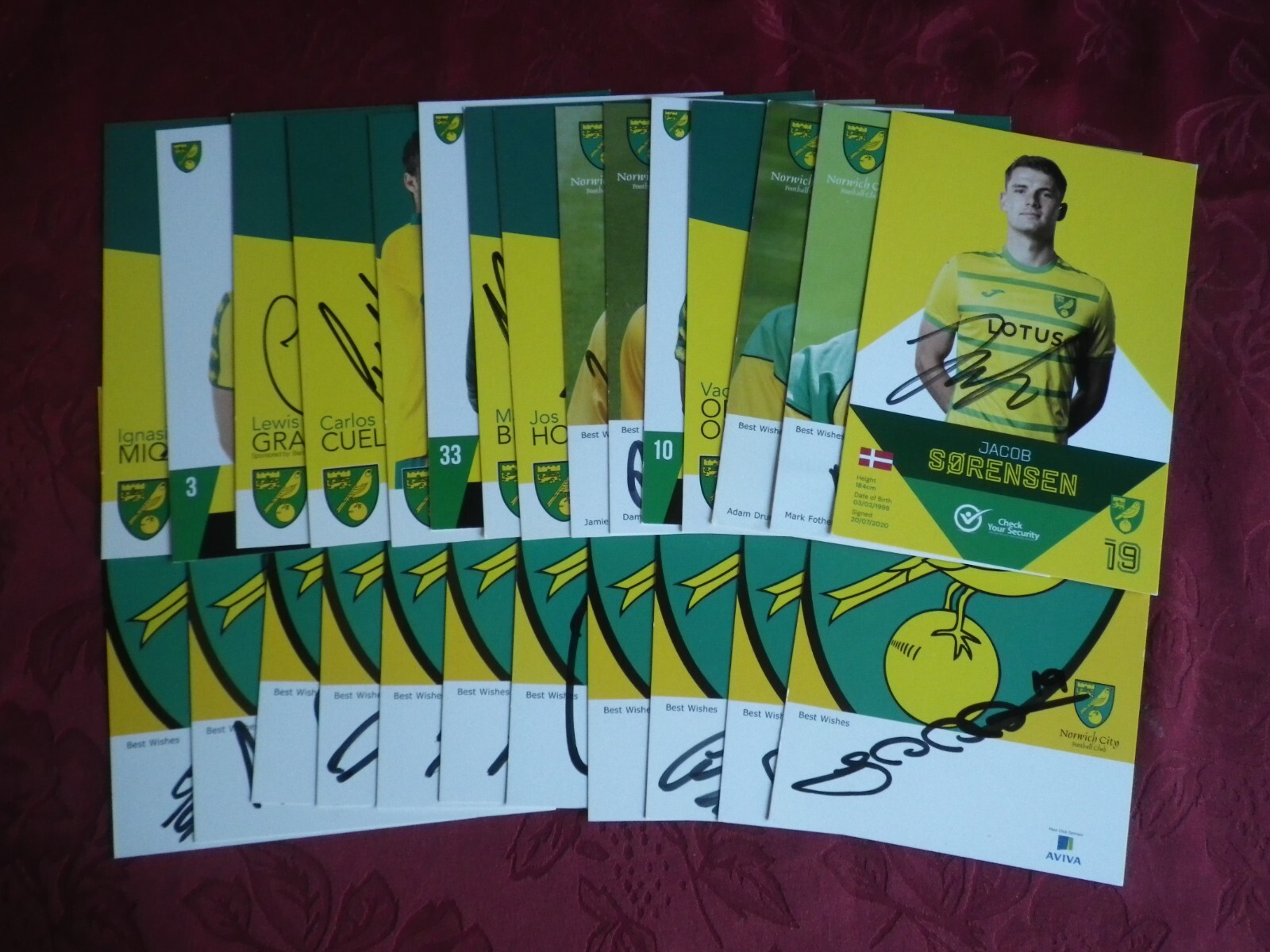 26 X Signed Norwich City FC Player Cards for sale on Ebay