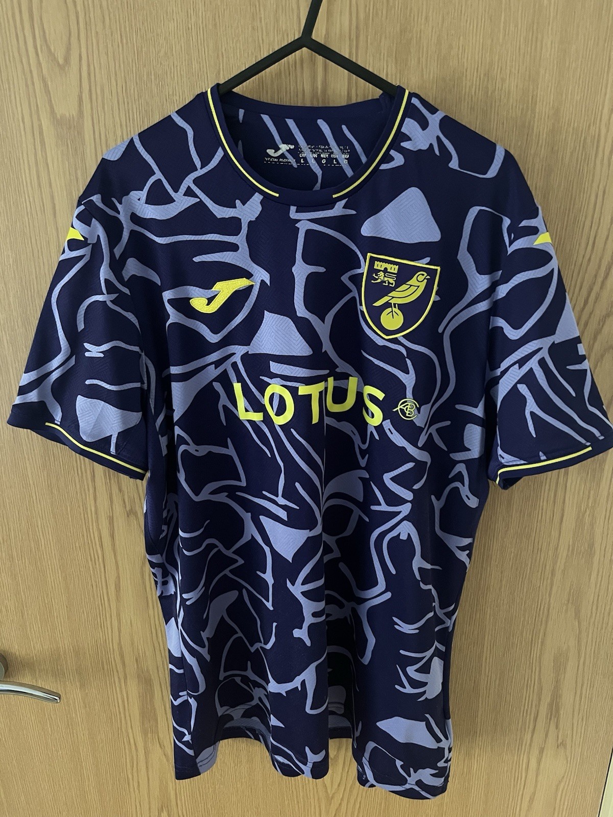 Norwich City 2023/24 Third Shirt Joma Large for sale on Ebay