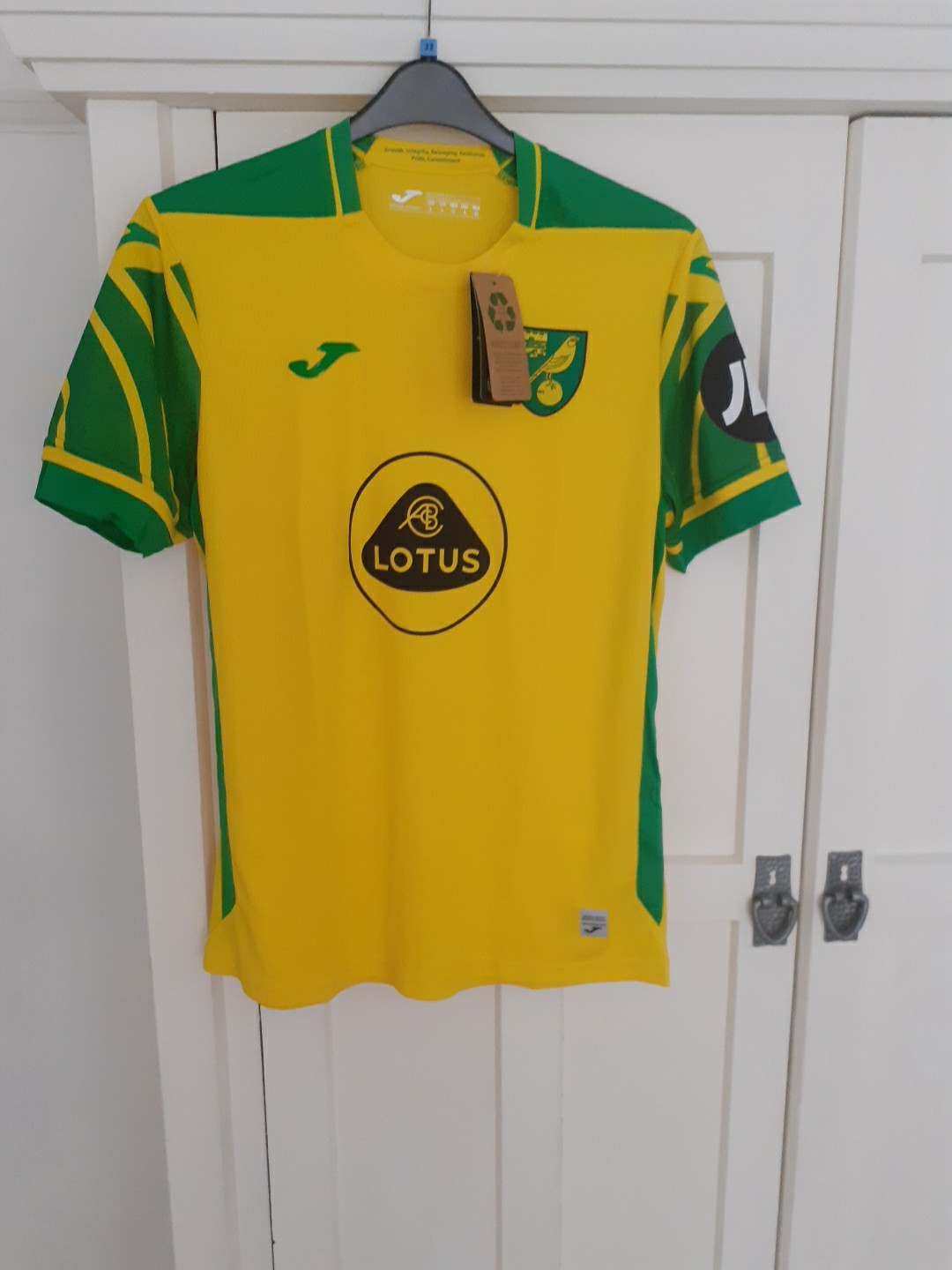 NEW WITH TAGS  NORWICH CITY HOME SHIRT SIZE L  SEASON 2021-2022 for sale on Ebay