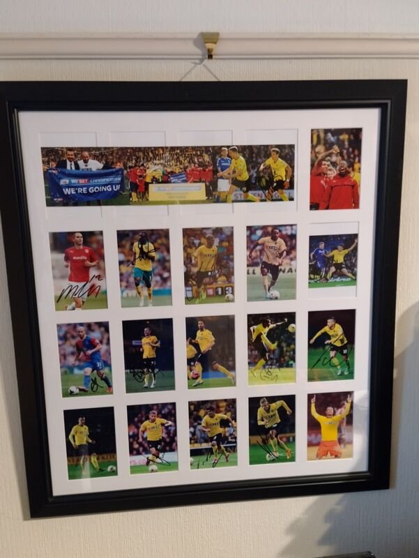 Watford FC Signed Photos 2014/15 Promotion Squad with Frame for sale on Ebay