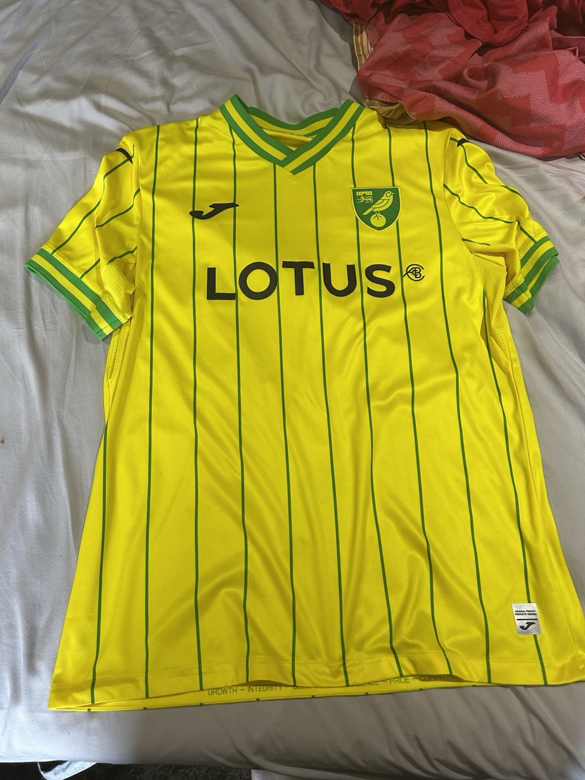 Norwich city 22/23 Home Shirt, Nunez 26 Printing XL for sale on Ebay