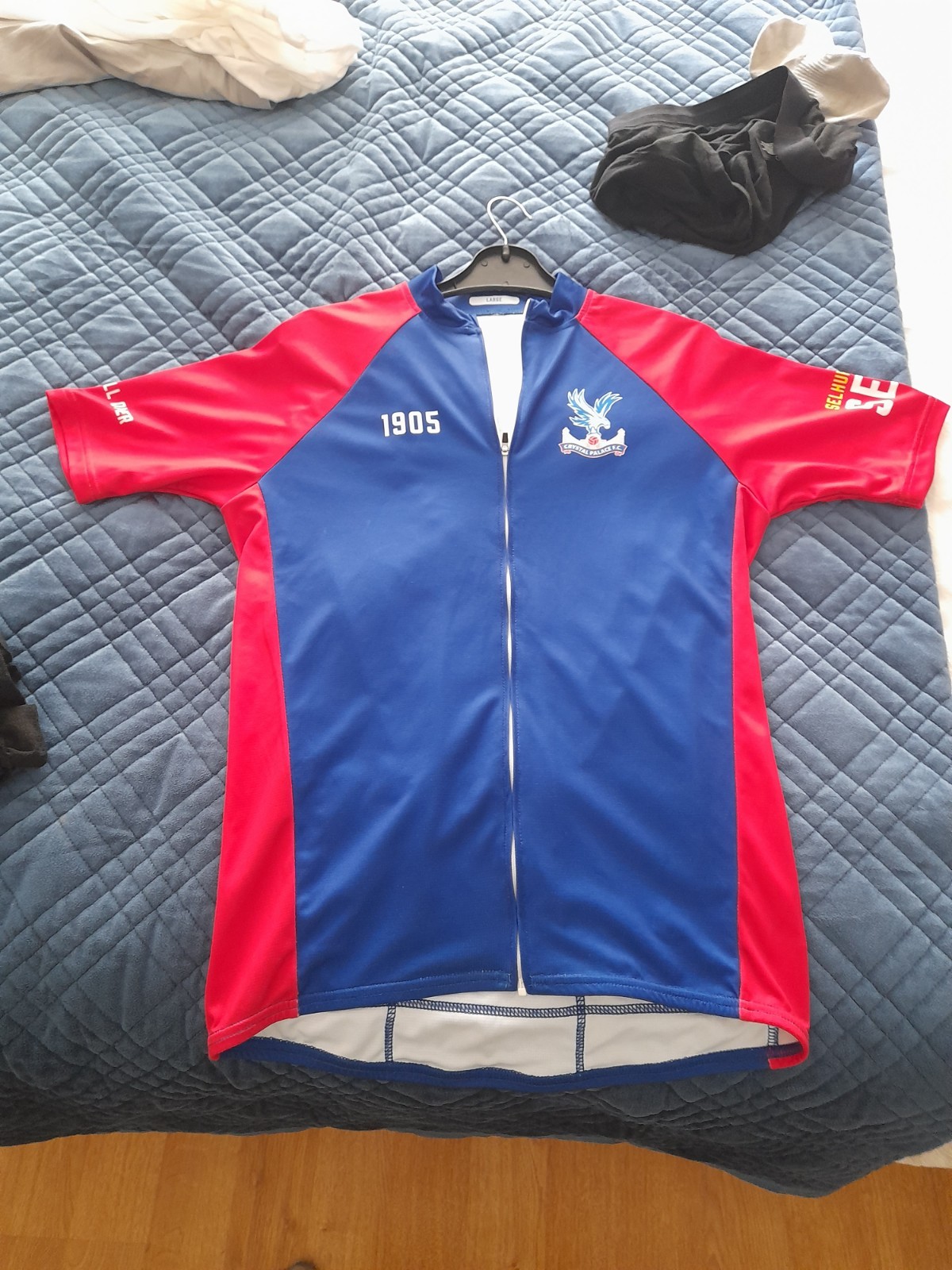 CRYSTAL PALACE FC OFFICIAL EAGLES FULL ZIP CYCLING JERSEY BNWT (large) RARE for sale on Ebay