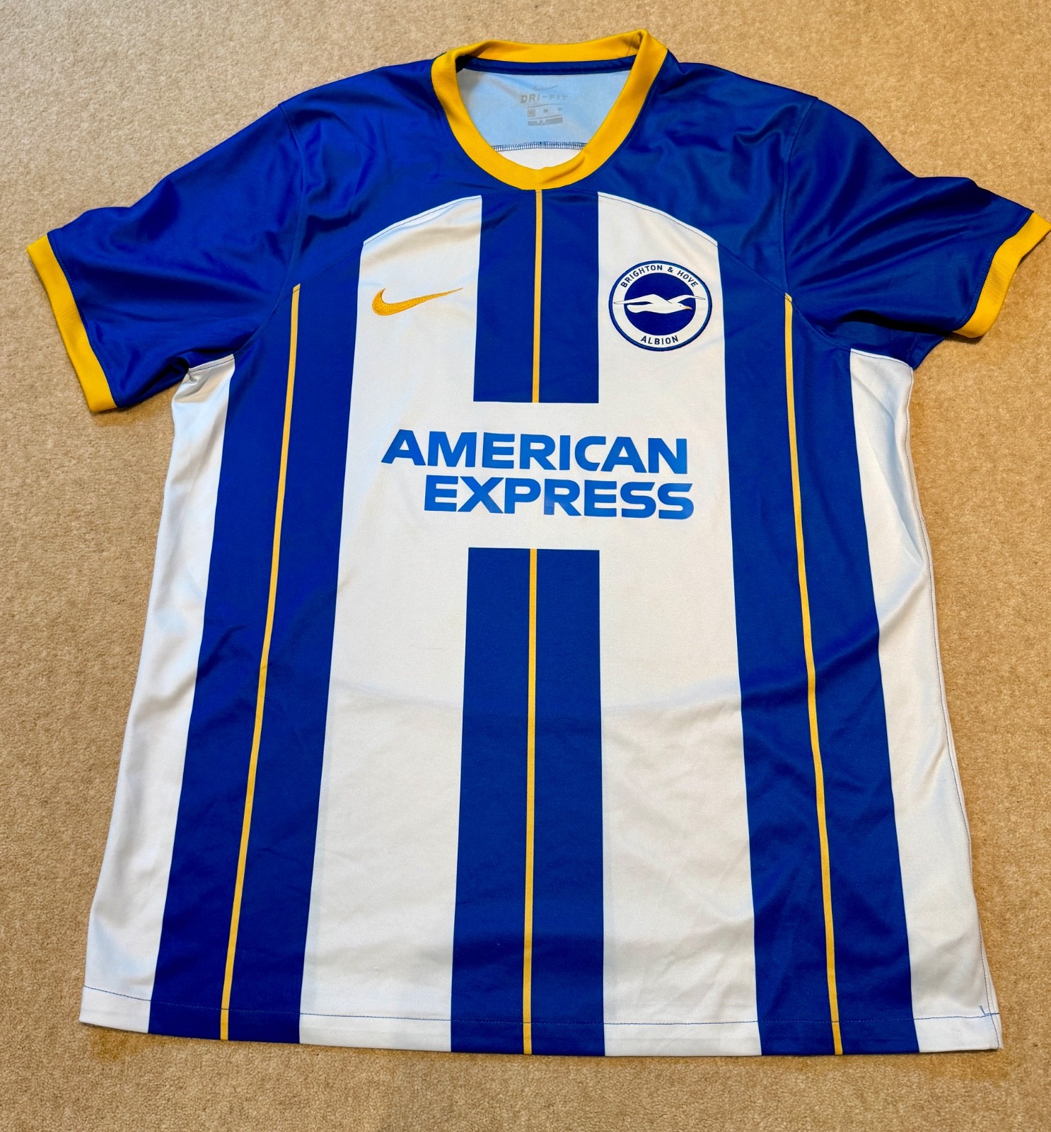 Brighton Hove Albion football shirt 2022 top Nike soccer jersey for sale on Ebay