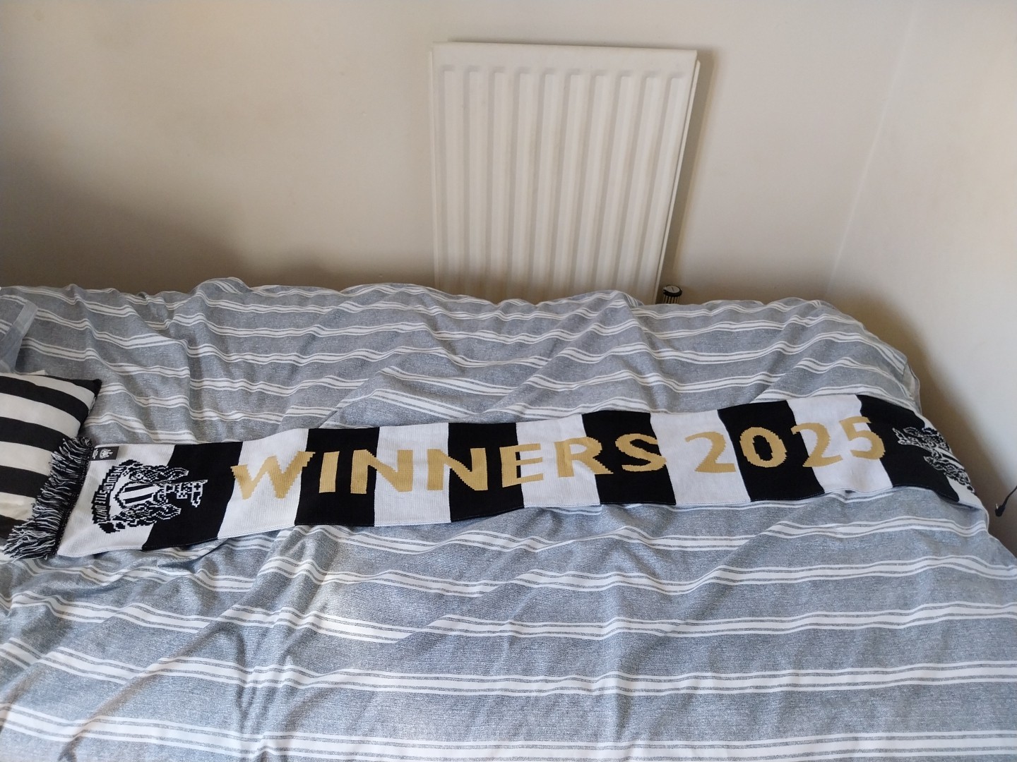 Newcastle United 2025 Carabao Cup Winners Souvenir Scarf for sale on Ebay