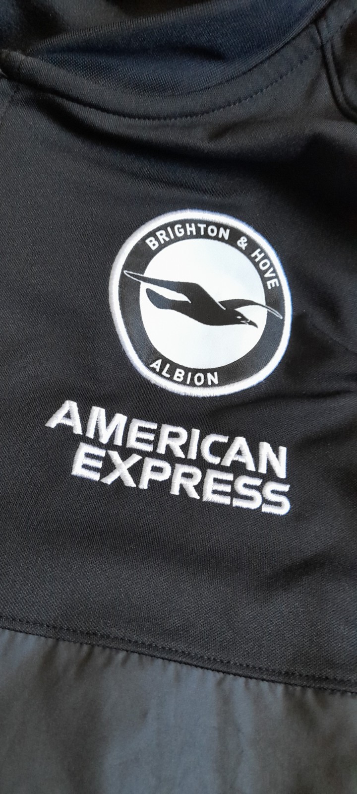BRIGHTON AND HOVE ALBION BHAFC NIKE JACKET XXL 2XL OFFICIAL NEW AMEX SEAGULLS for sale on Ebay