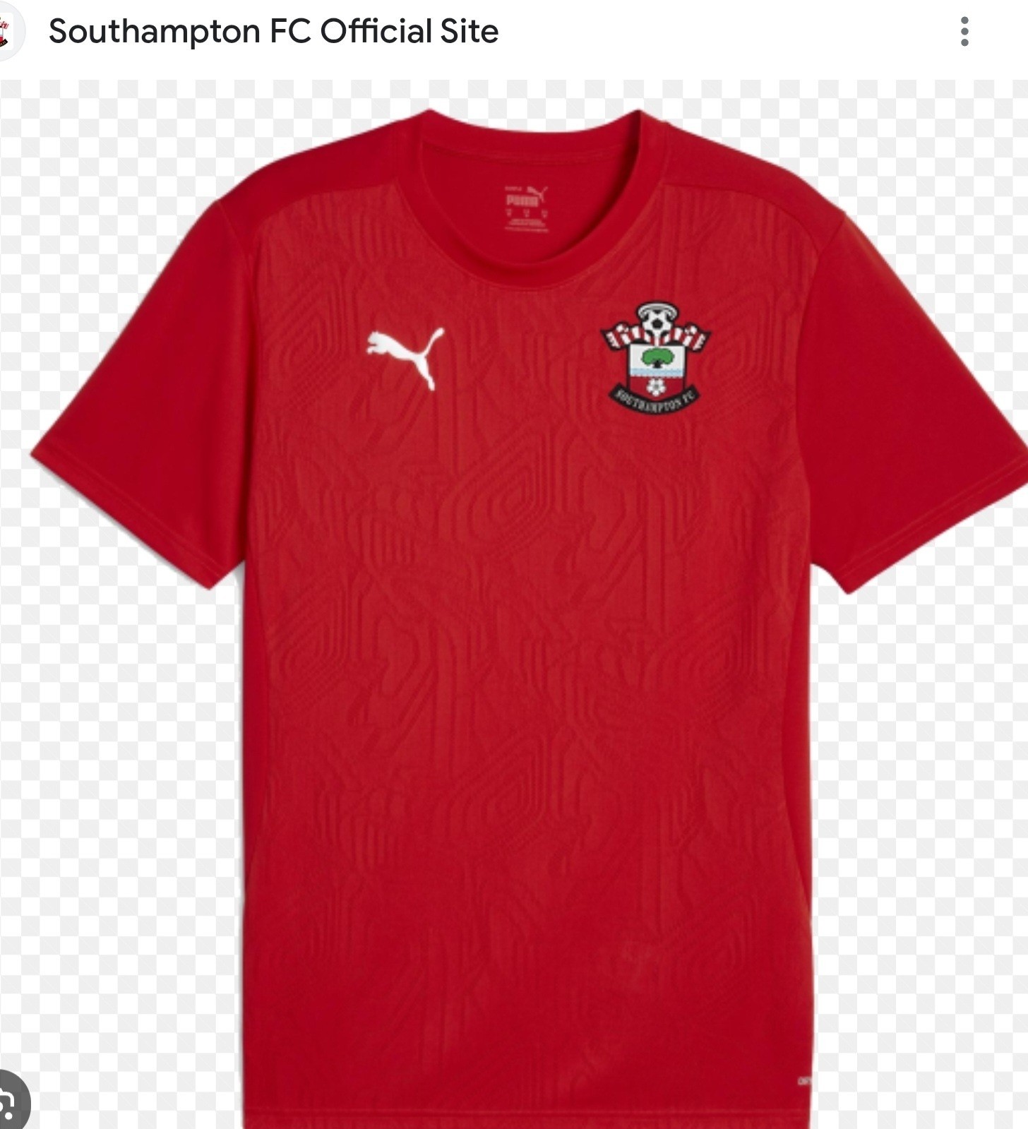 Official Southampton FC Training Top XXL for sale on Ebay