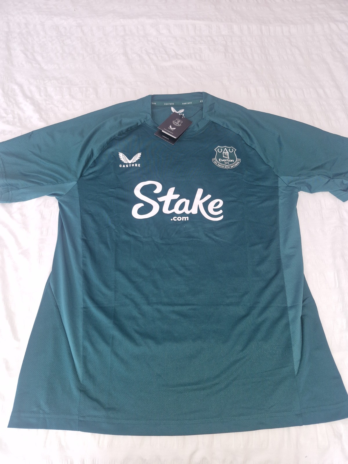 EVERTON PRO TRAINING GREEN SHORT SLEEVED TEE T-SHIRT SIZE LARGE.  for sale on Ebay