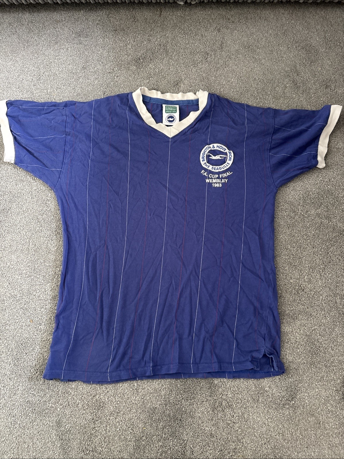 Brighton & Hove Albion 1983 FA Cup Final Shirt Score Draw for sale on Ebay