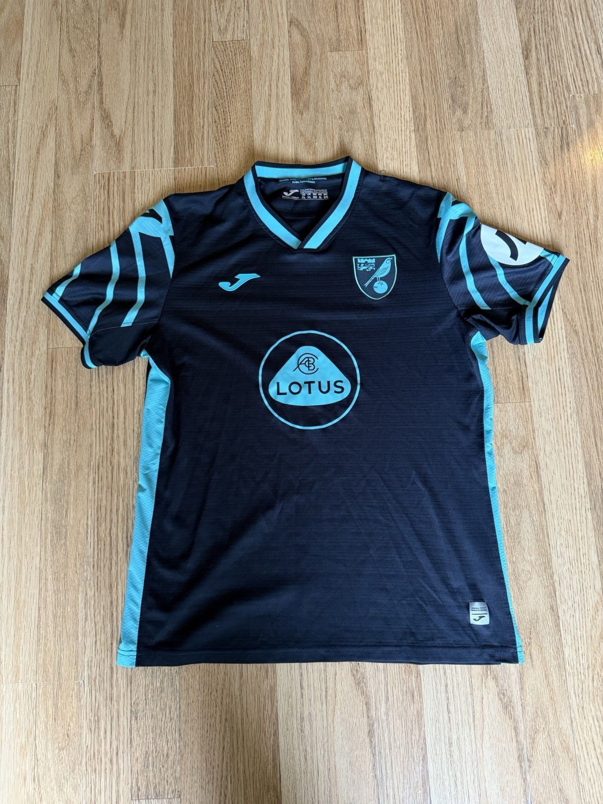 Norwich City 2021-2022 Football Shirt Adult Extra Large for sale on Ebay