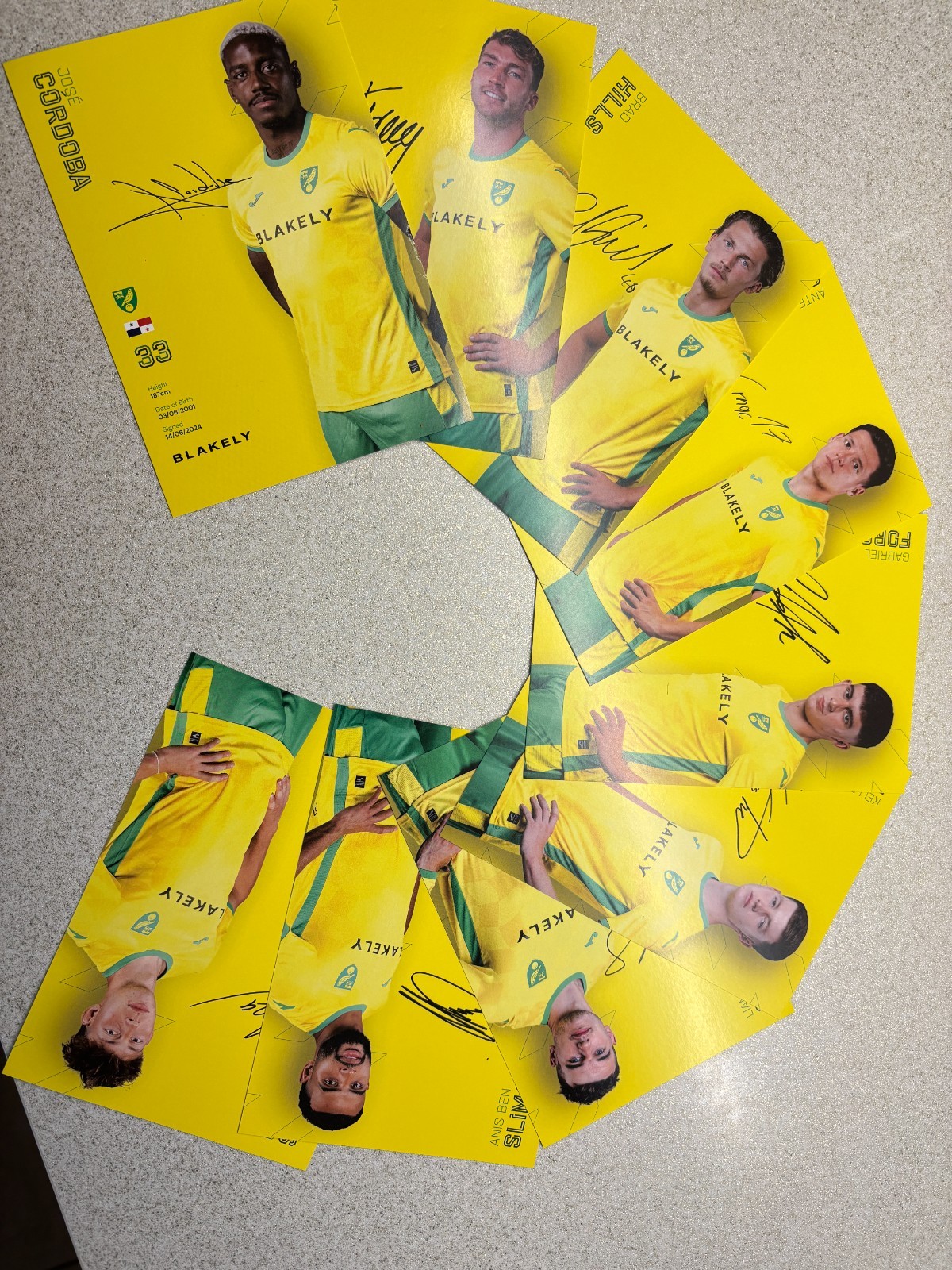 Set of Norwich City FC player cards season 2024/2025 for sale on Ebay