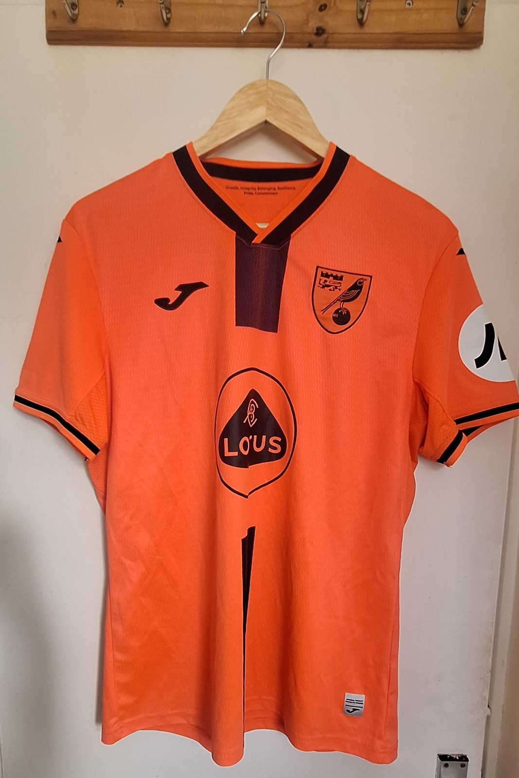 Mens Norwich City 2021/22 Third Kit Football Shirt Colour: Orange Size: Medium for sale on Ebay