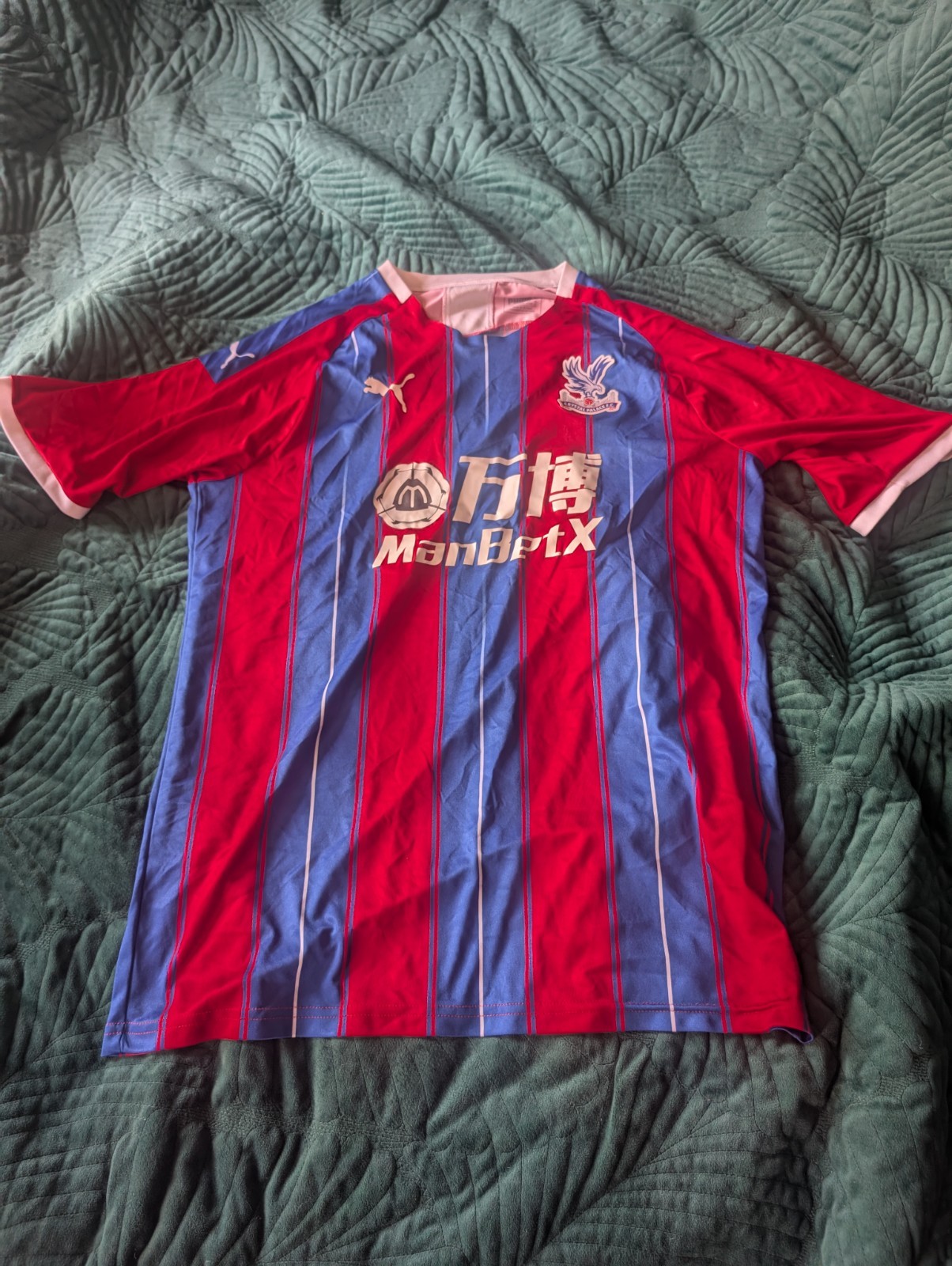 Crystal Palace 2019/20 Home Football Shirt Size Large Puma for sale on Ebay