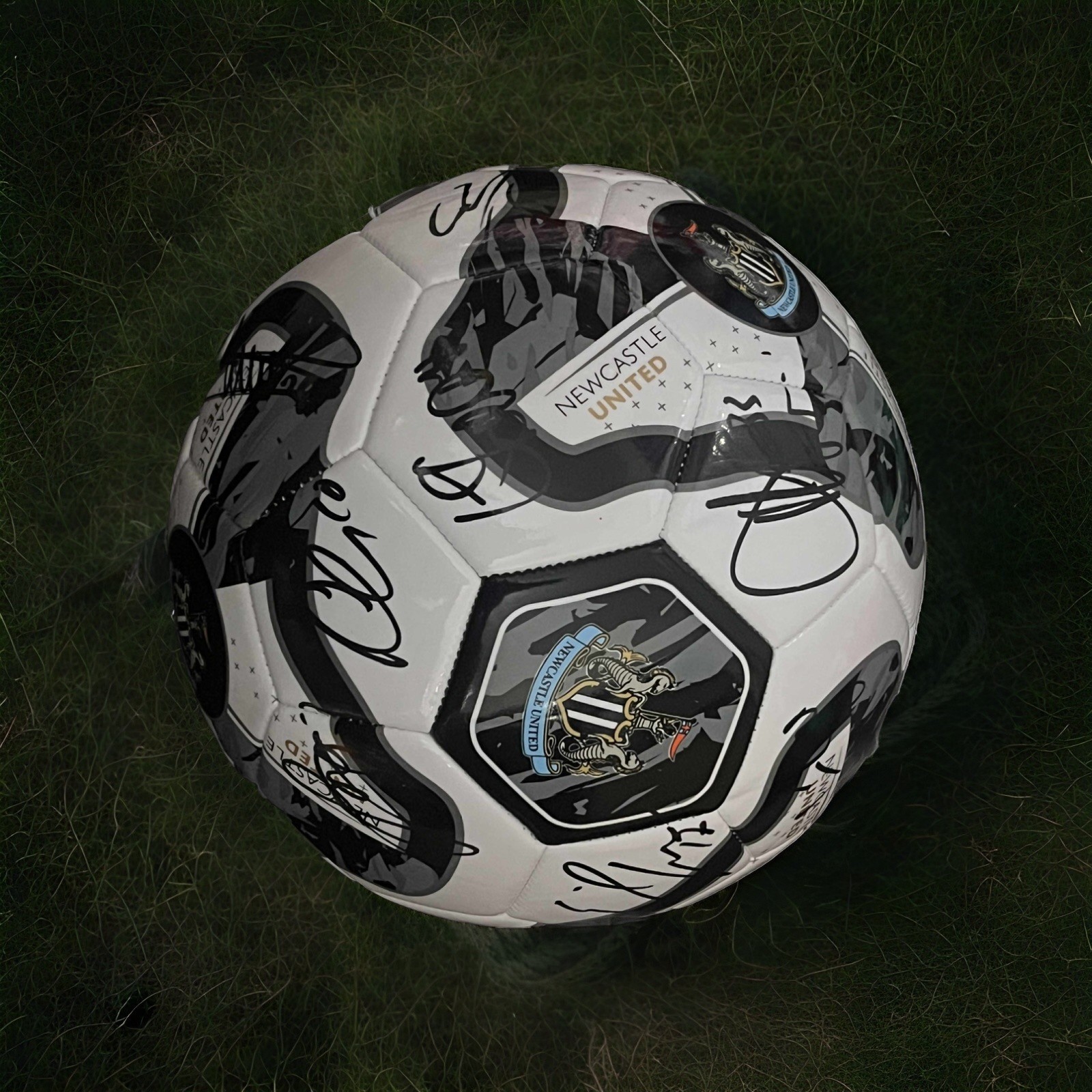 Newcastle United Signed Football By Squad 2025/26 COA inc for sale on Ebay