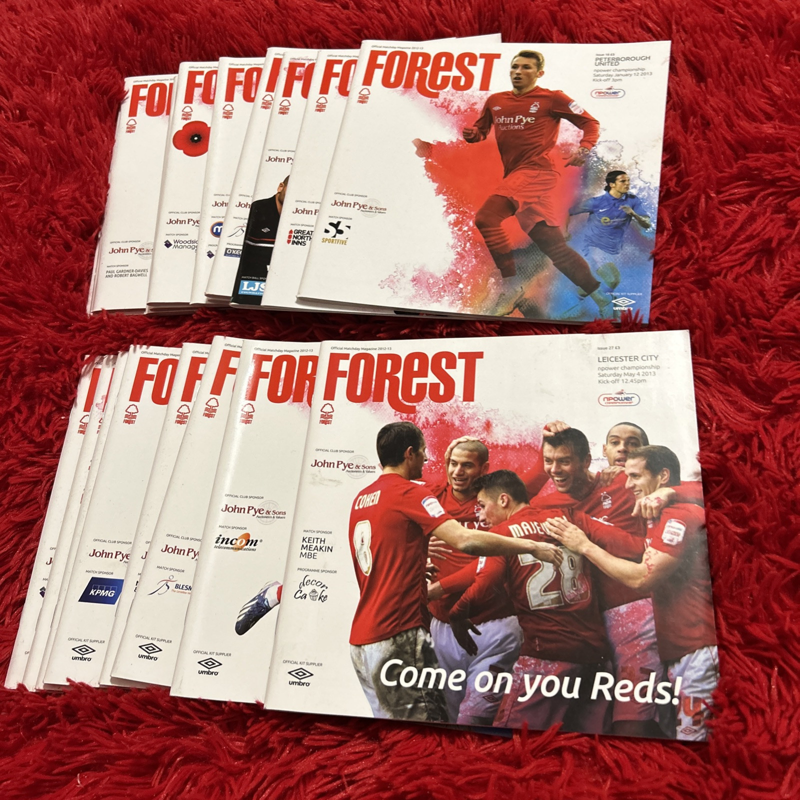 Nottingham Forest Home Programmee 2012-2013 Season for sale on Ebay