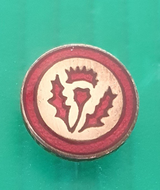 FOOTBALL ASSOCIATION SPORTIVE NANCY-LORRAINE Enamel Pin Badge France Calcio for sale on Ebay