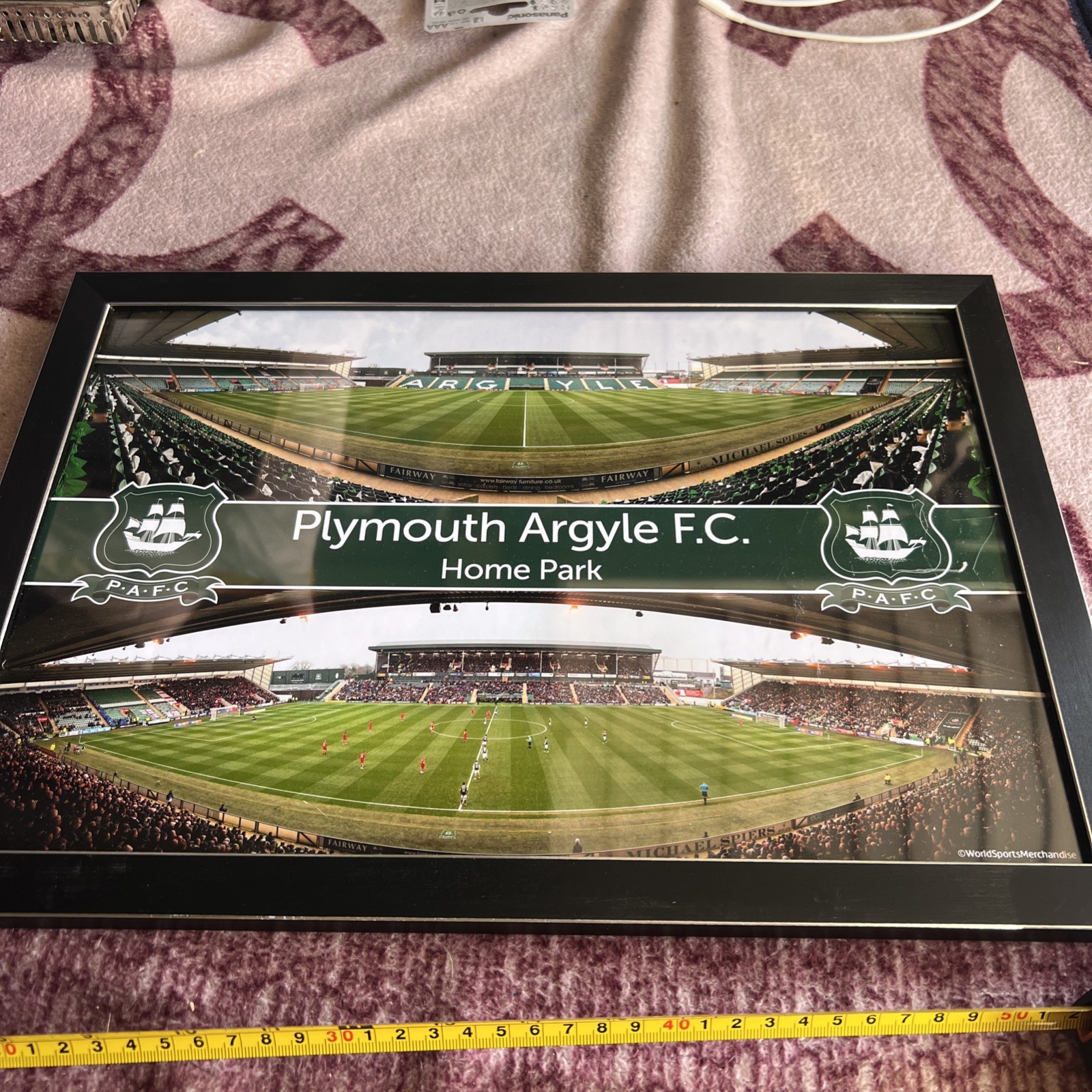 Plymouth Argyle FC Home Park Stadium With Players And Without Players for sale on Ebay