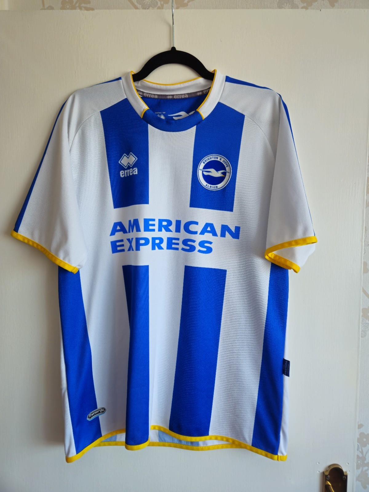Brighton And Hove Albion 2013/14 Home Shirt. Adults Large for sale on Ebay
