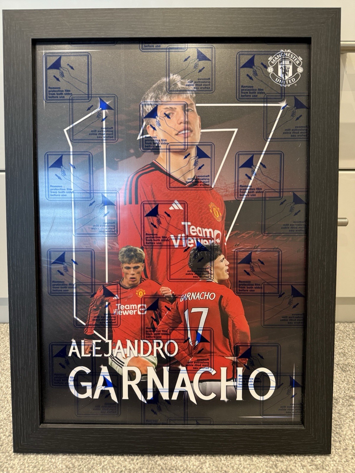 Alejandro Garnacho Manchester United Framed Picture for sale on Ebay
