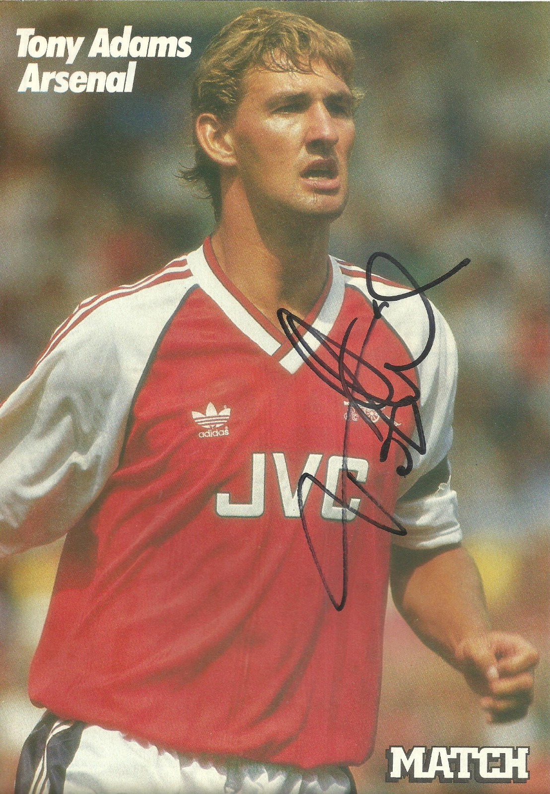 Tony Adams - ARSENAL - Signed A4 Magazine Picture for sale on Ebay