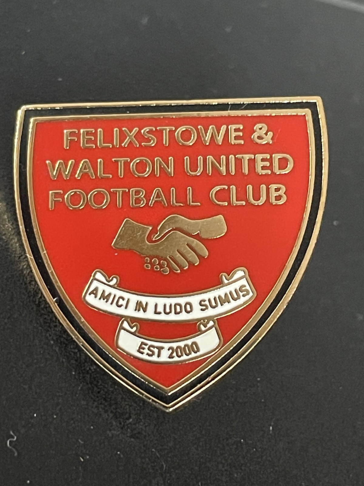 FELIXSTOWE & WALTON UNITED FC - BADGE for sale on Ebay