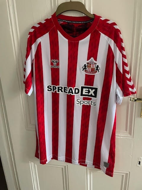 Hummel Sunderland Home Top 2024/2025 for sale on Ebay