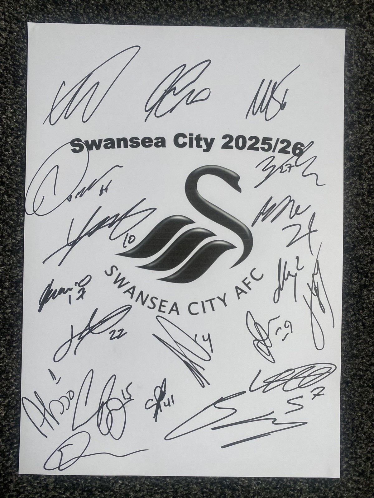 Swansea City FC Football Club 2025/26 Season Hand Signed A4 Autograph Sheet for sale on Ebay