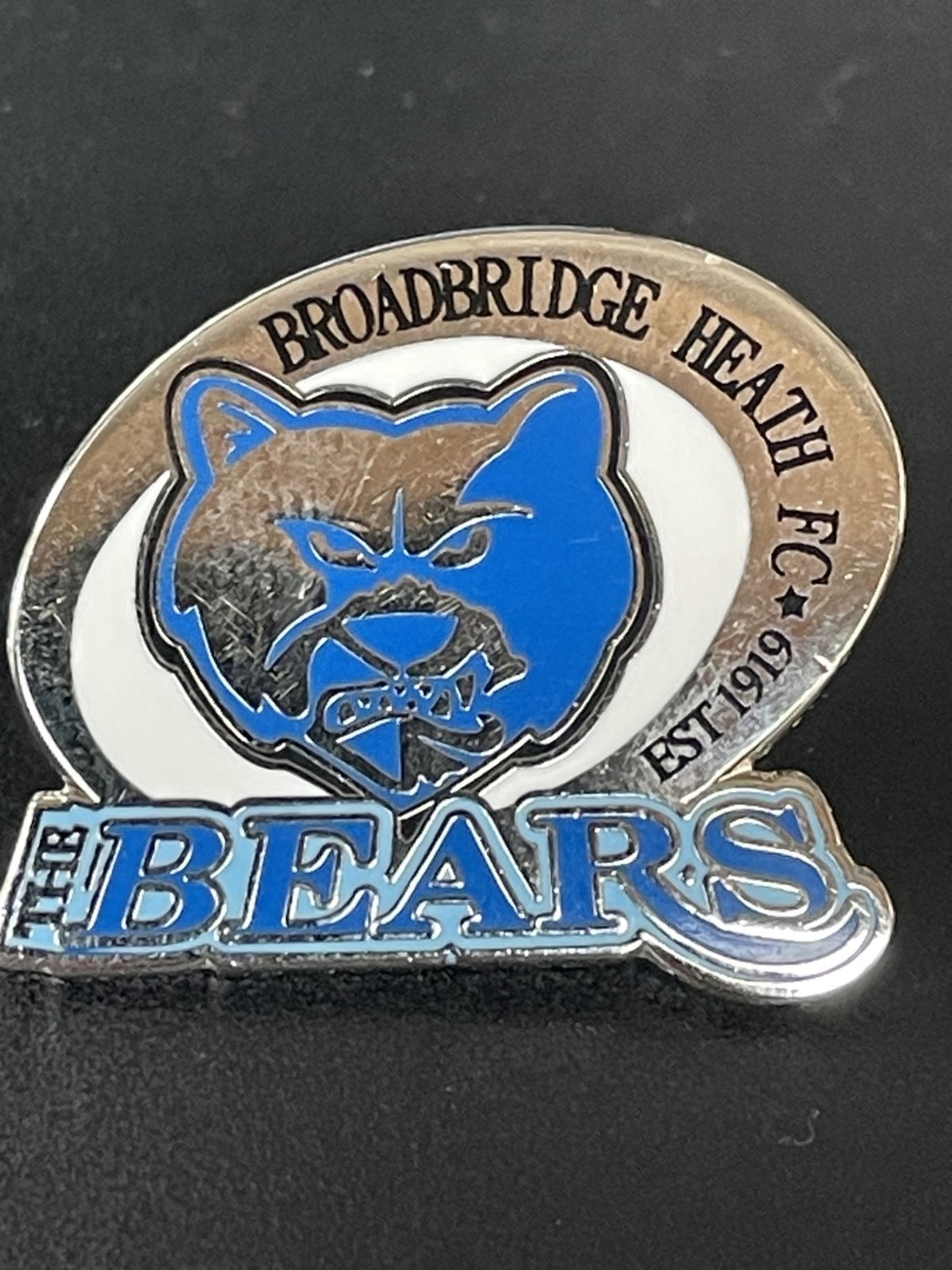 BROADBRIDGE HEATH FC - BADGE for sale on Ebay