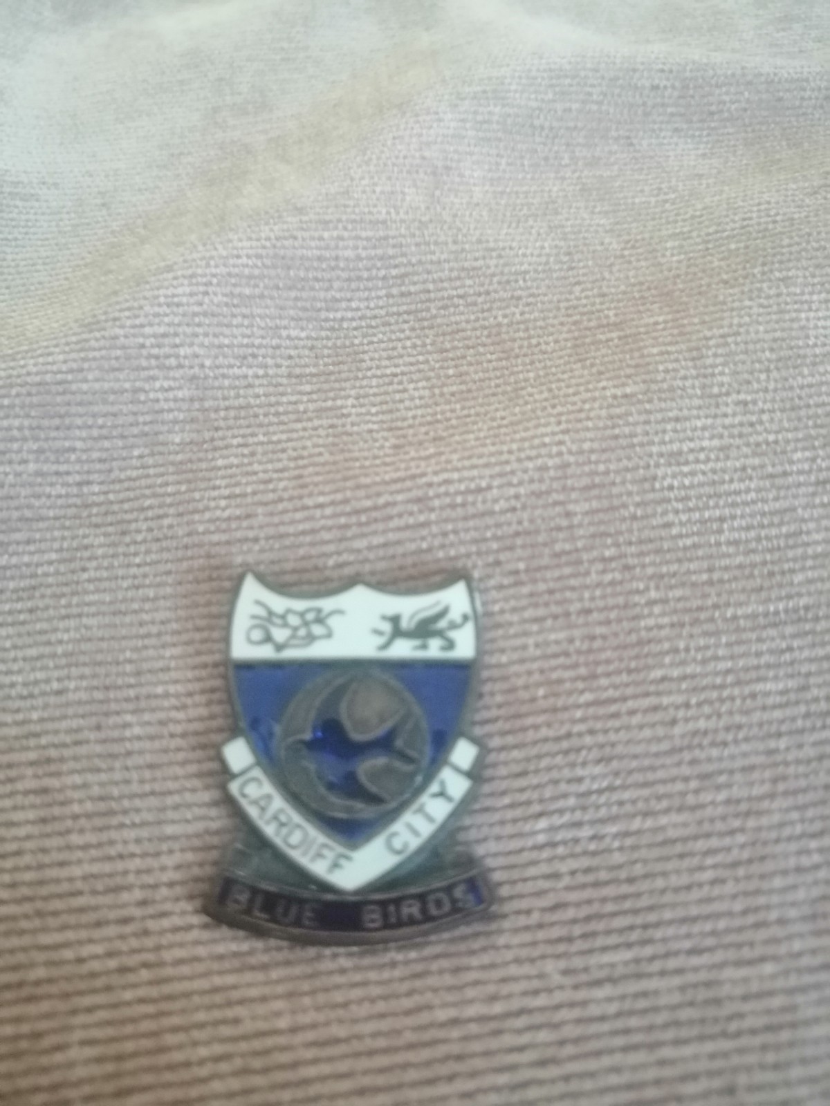 Cardiff City Pin Badge for sale on Ebay