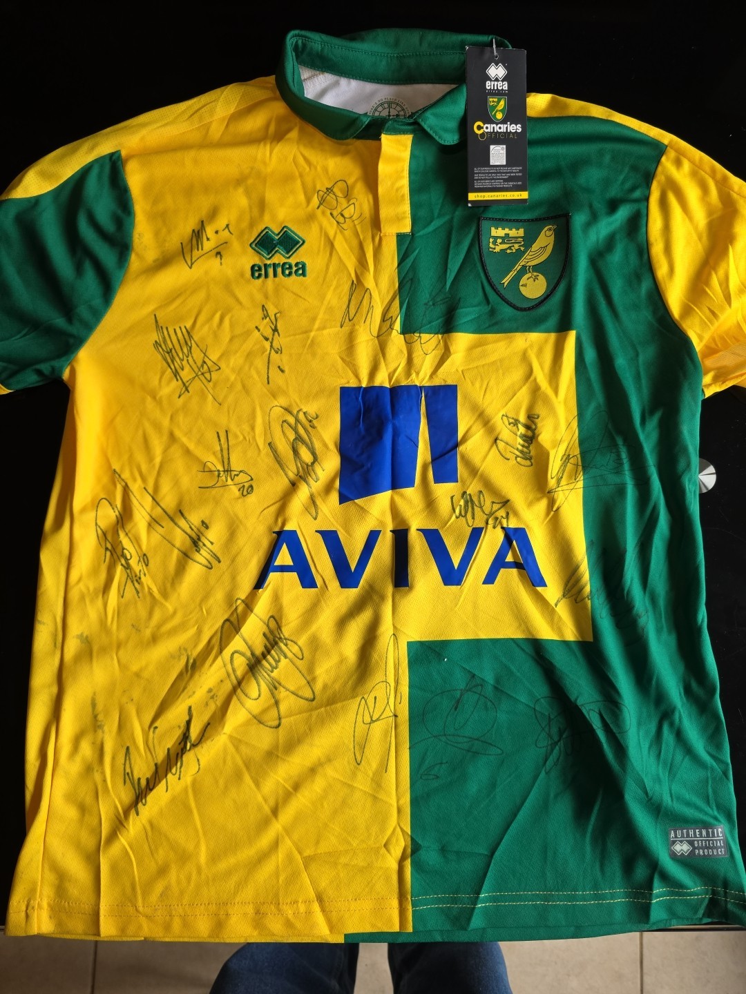 Norwich City Autographed Home Shirt 15/16 Season 80th Anniversary Size M for sale on Ebay
