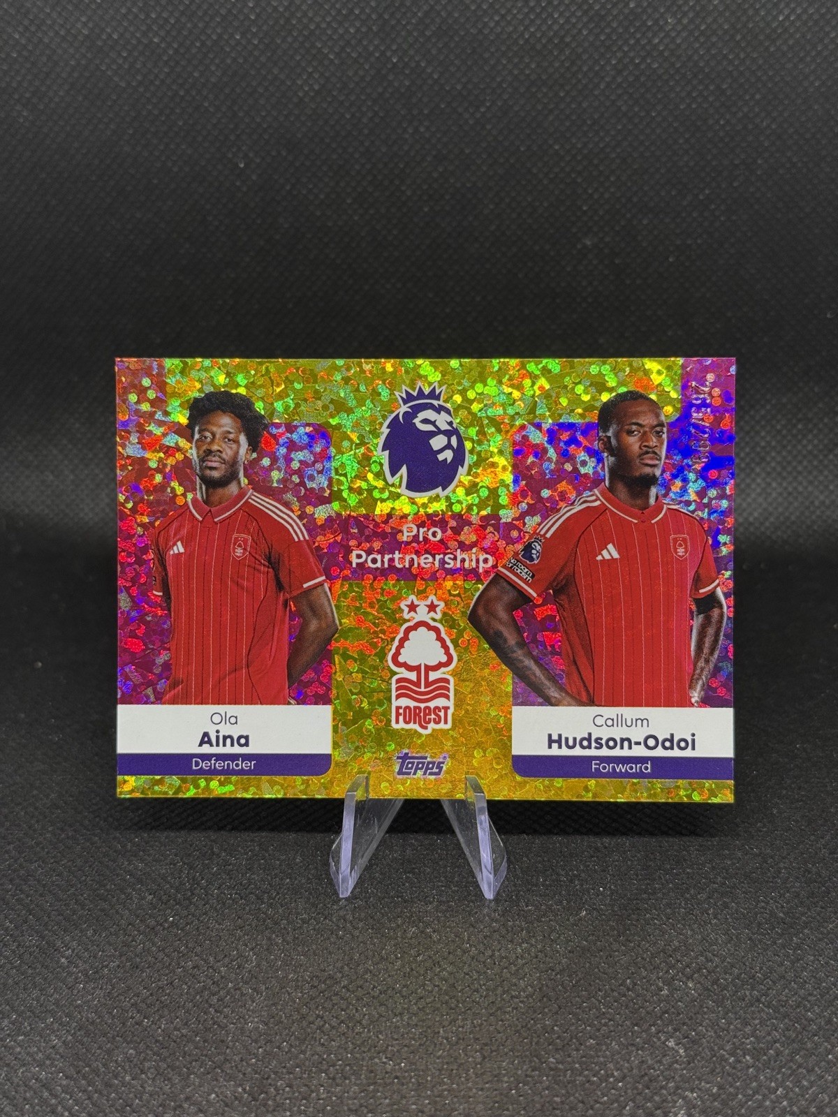 Nottingham Forest Pro Partnership numbered parallel 110/299 Topps premier league for sale on Ebay