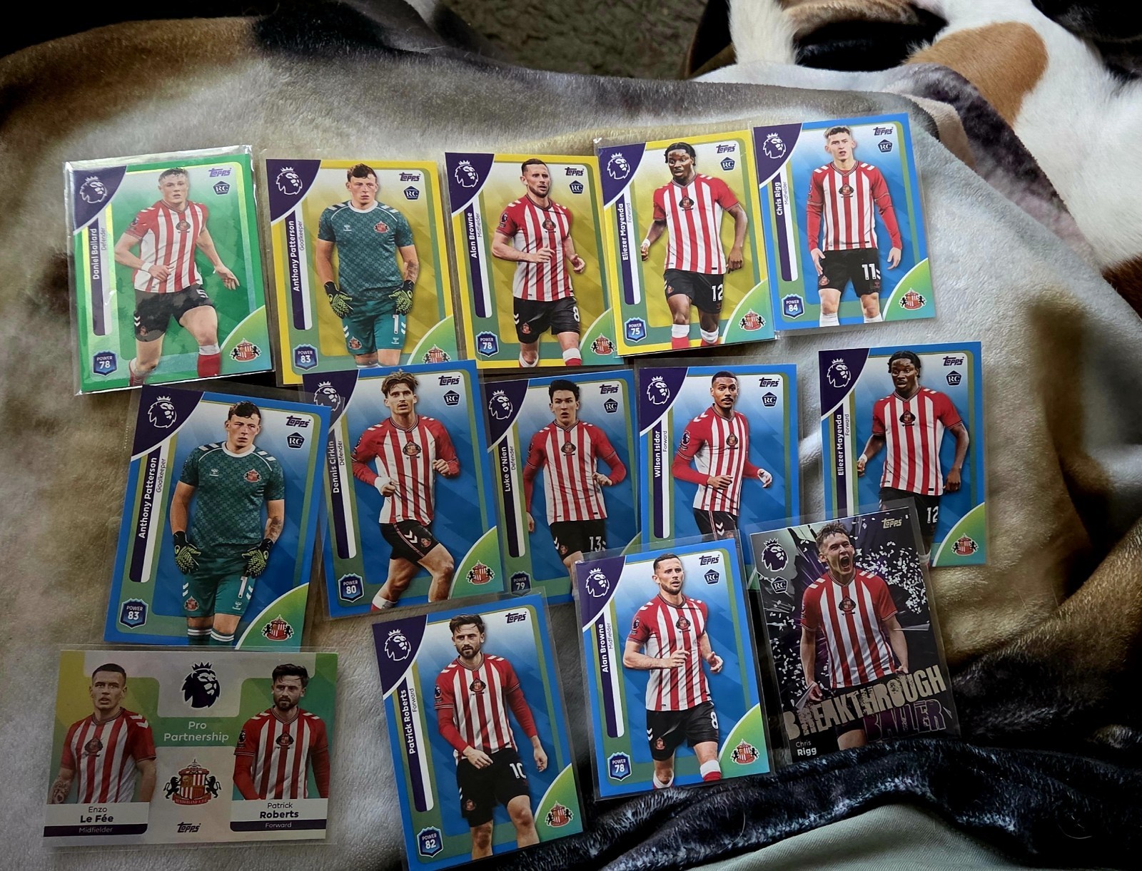 Sunderland AFC Green/yellow/blue Parallels And 2 Inserts.  Topps Premier League for sale on Ebay