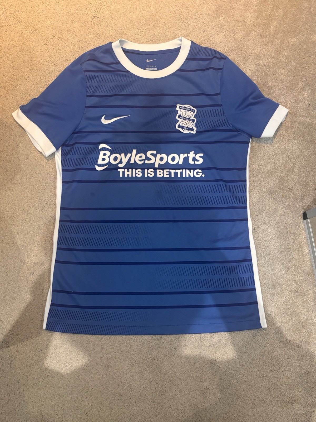 Birmingham City Home Football Shirt 2020/21 Nike - Size Medium - #17 EFL  for sale on Ebay