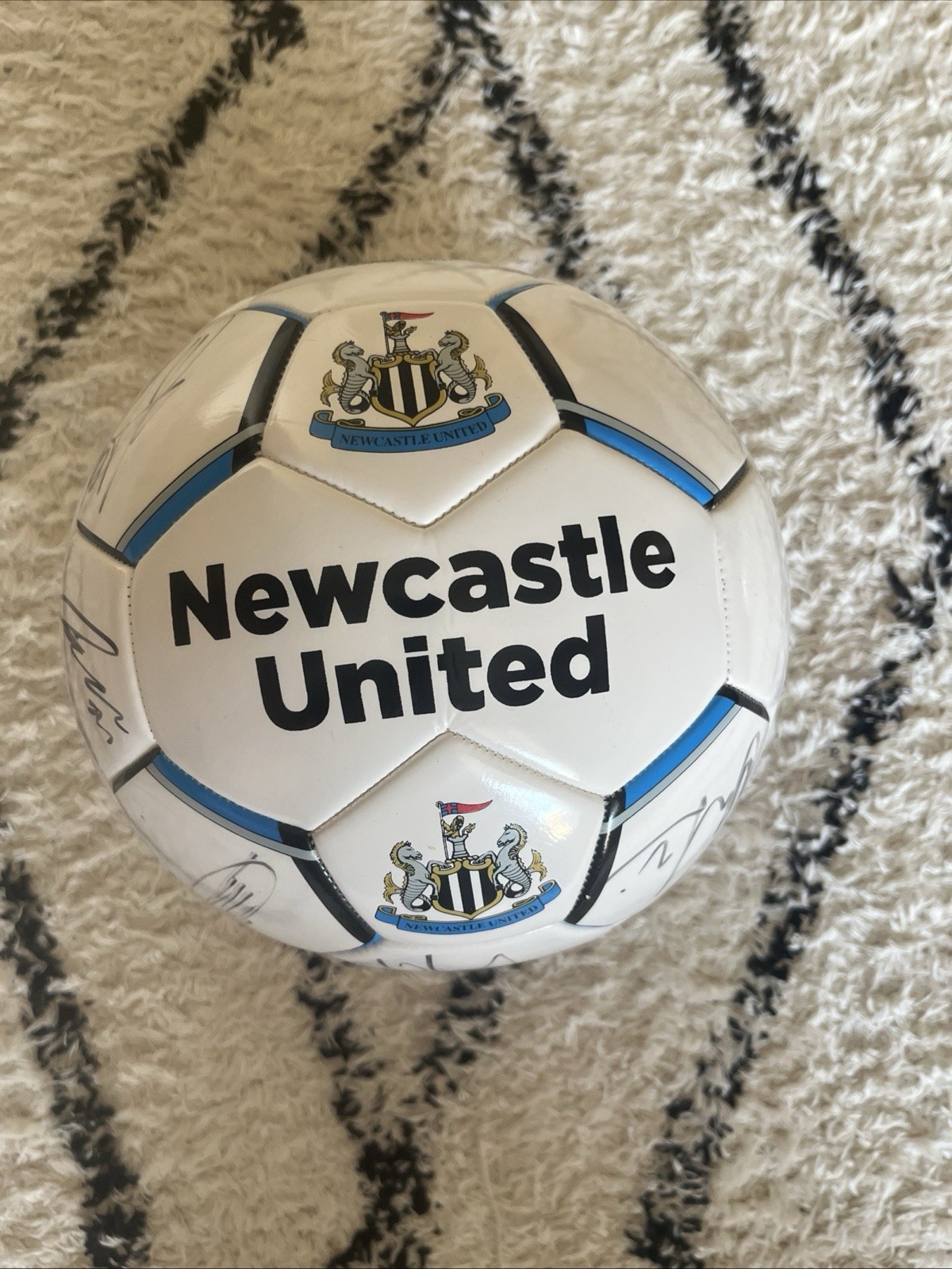 Full Team Signed Newcastle United Football Prestine Condition for sale on Ebay