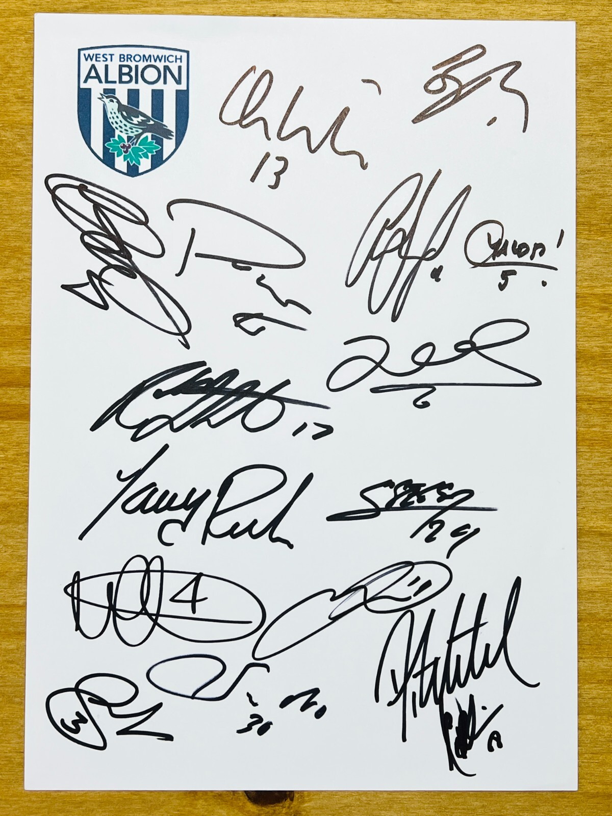 Hand Signed A4 Team Sheet - West Bromwich Albion FC 2015/16 - 16 signatures for sale on Ebay