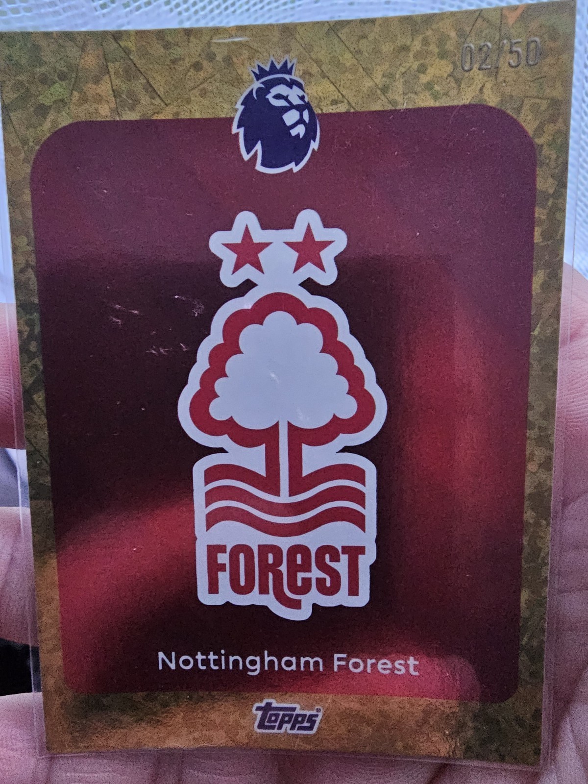 Nottingham Forest Badge #50 Topps Premier League Numbered Card for sale on Ebay